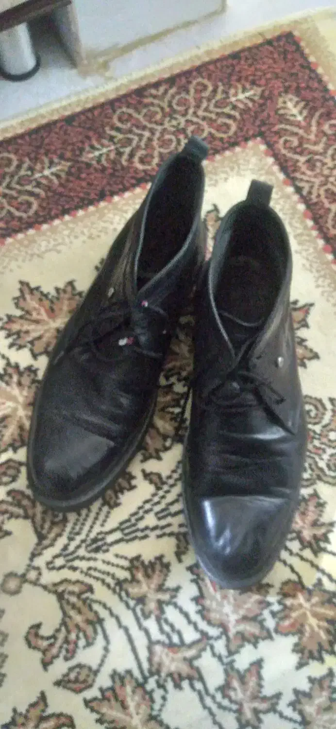 پوتین مردانه|کیف، کفش، کمربند|مرند, |دیوار