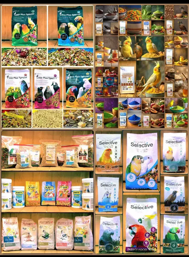 دان وملزومات پرندگان|لوازم جانبی حیوانات|بیجار, |دیوار