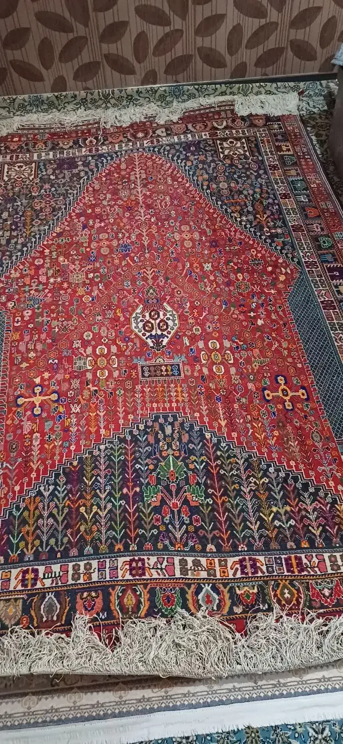 فرش دست بافت یک سر ناظم|فرش|شیراز, صاحب الزمان|دیوار