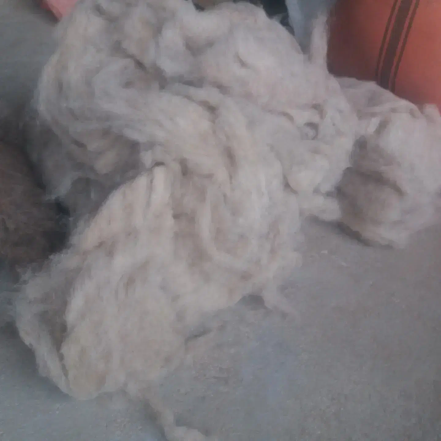 فروش پشم گوسفند  شسته حلاجی شدالیاف طبیعی|رختخواب، بالش، پتو|گلی داغ, |دیوار