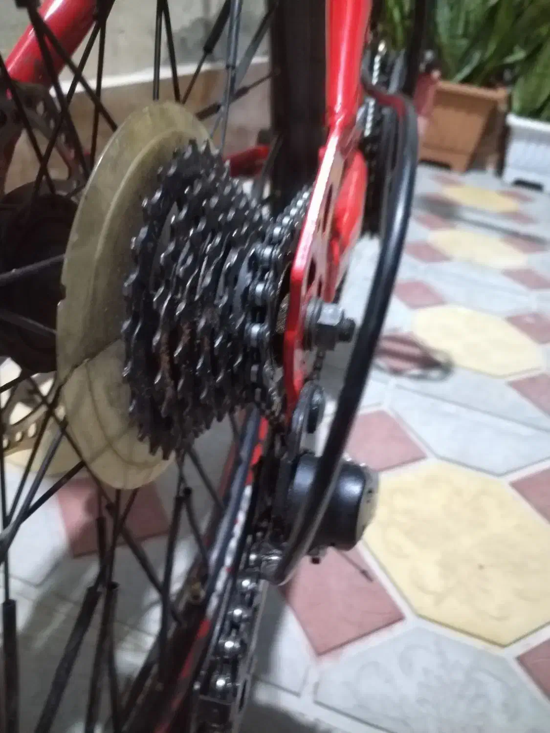 دوچرخه 24 حرفه ای سالم|دوچرخه، اسکیت، اسکوتر|اردبیل, |دیوار