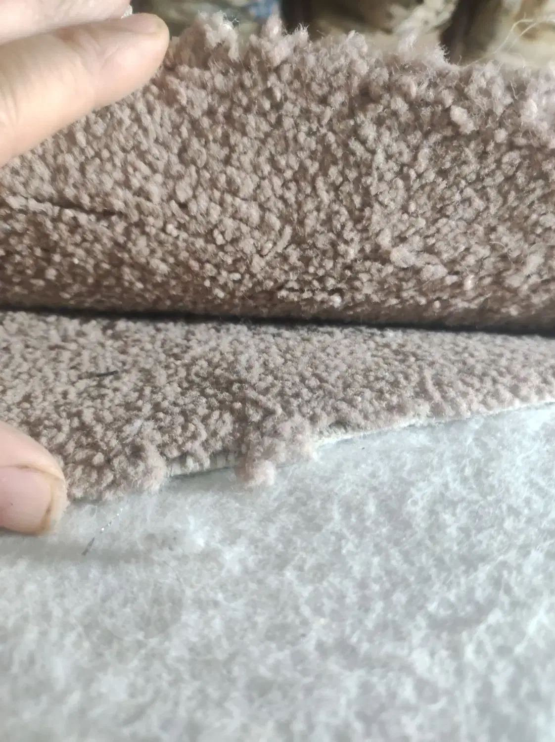 یک عدد موکت پالاز خیلتمیز|موکت|خرمشهر, |دیوار