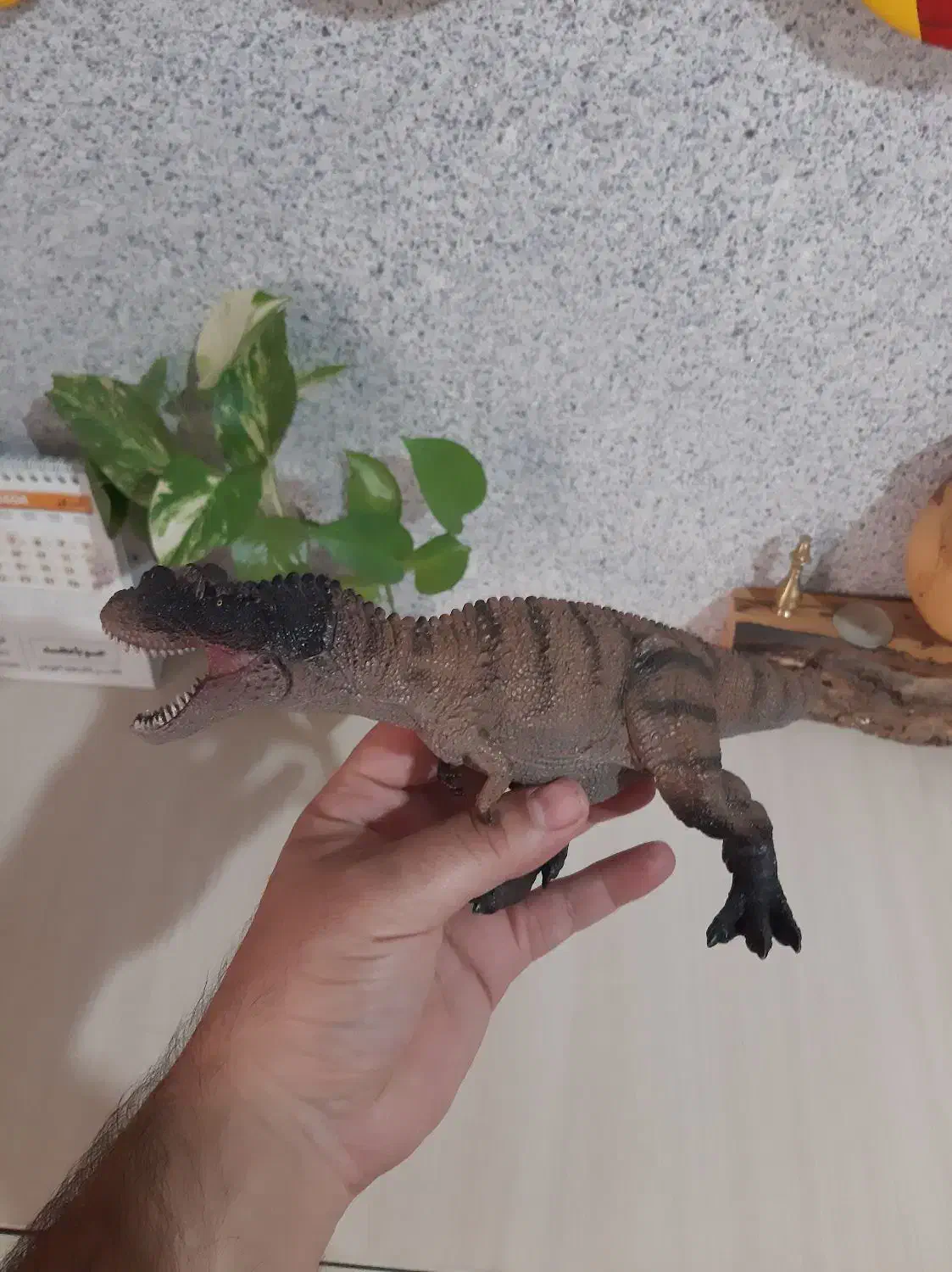 فیگور دایناسور|اسباب‌‌بازی|قائم‌شهر, |دیوار