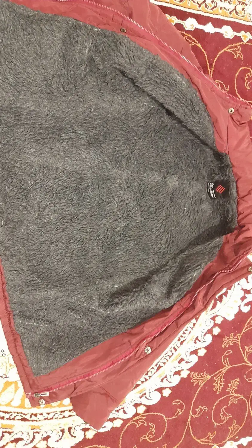 کاپشن نو|لباس|بیرجند, |دیوار