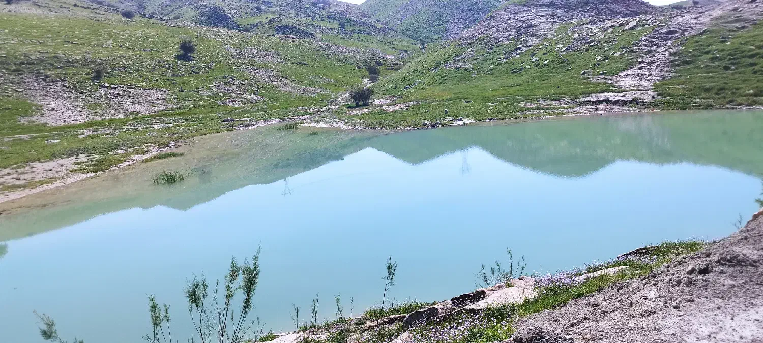 شراکت|فعالیت داوطلبانه|کازرون, |دیوار