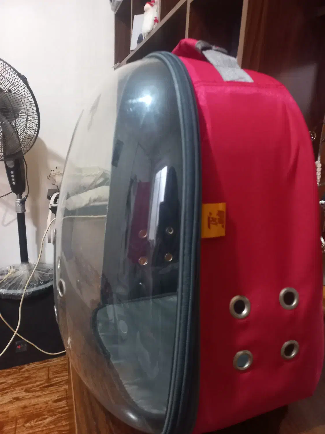 باکس و کوله پشتی فضای حمل گربه و سگ نژاد کوچیک|لوازم جانبی حیوانات|رشت, کوی حسینی|دیوار