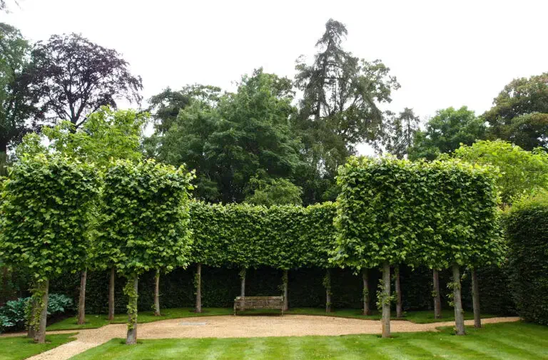 قوغاز نگهبان و هشدار دهنده|حیوانات مزرعه|لنجان, |دیوار