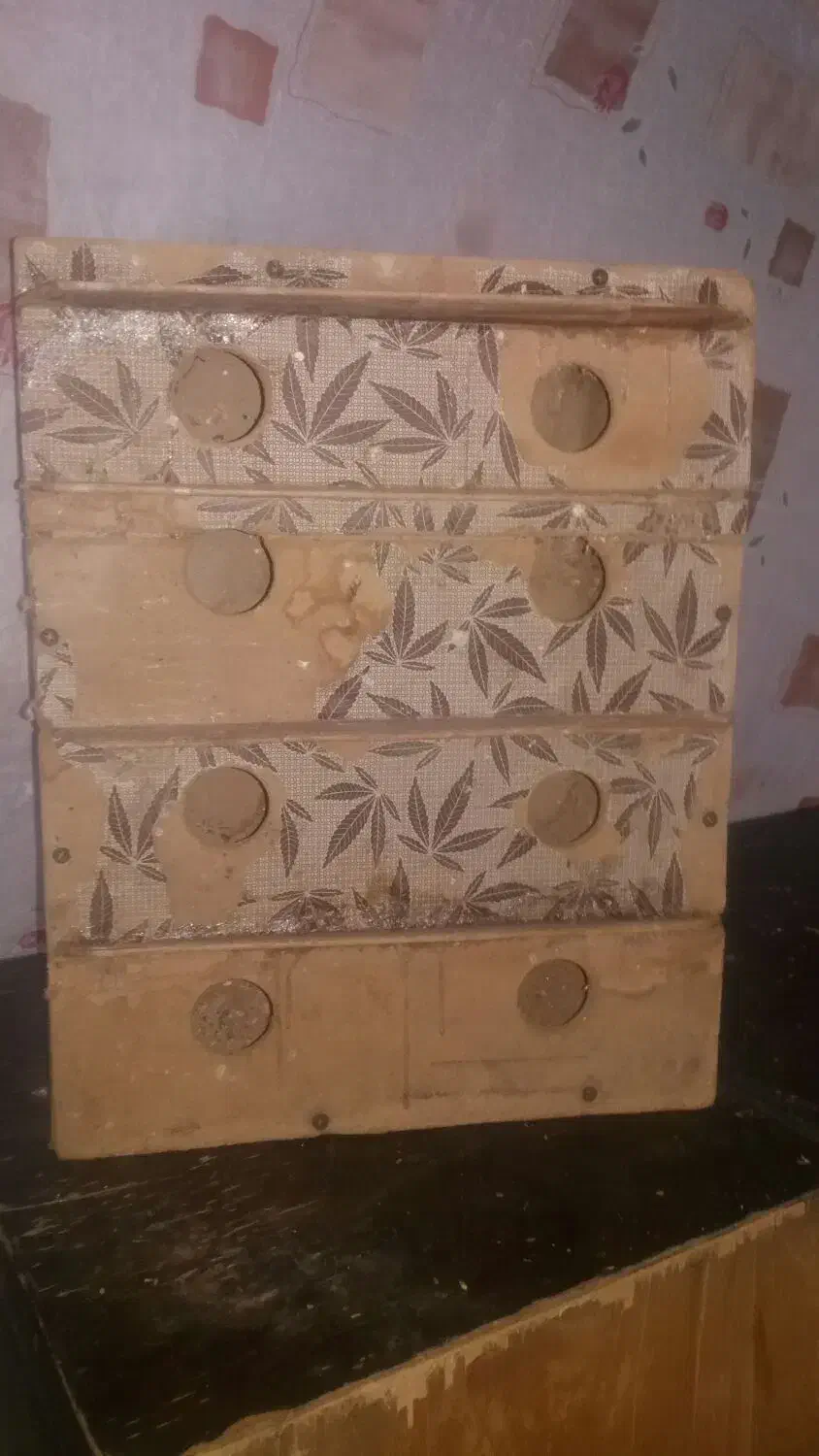 لانه فنچ ومرغ عشق چند مدل|لوازم جانبی حیوانات|خمین, |دیوار