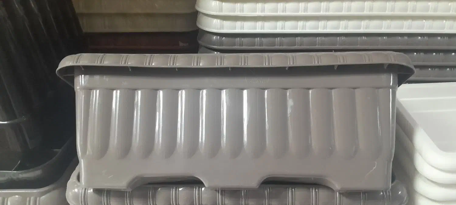 گل طبیعی وگلدان پلاستیکی|گل و گیاه طبیعی|مشهد, شهرک صنعتی توس|دیوار