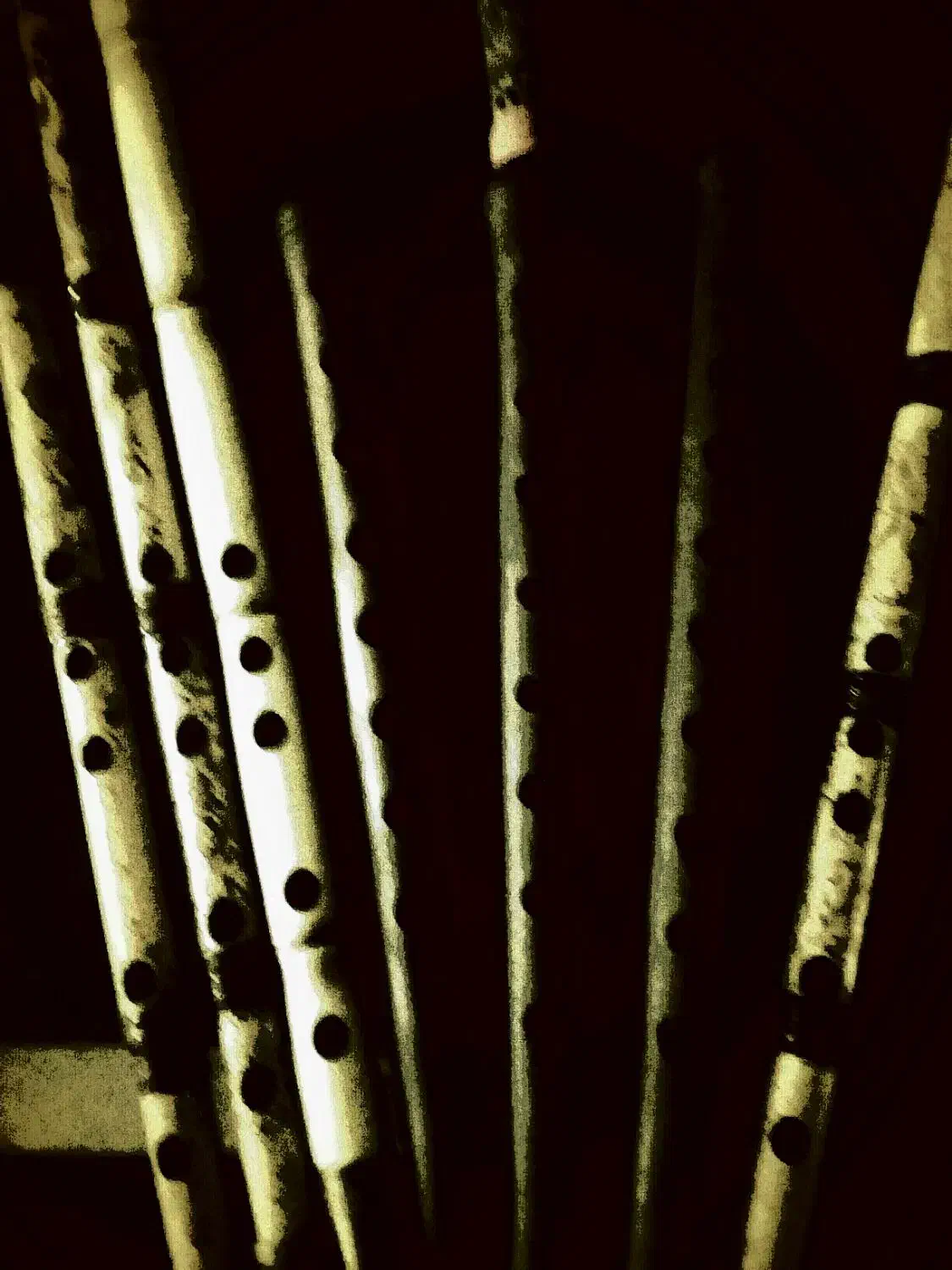 نی کلهر|سازهای بادی|قم, چهل اختران|دیوار