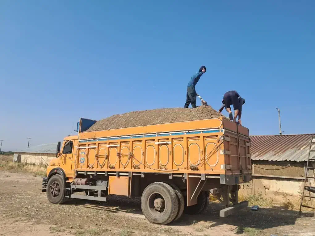 کود حیوانی|خدمات باغبانی و درختکاری|شیراز, بعثت|دیوار