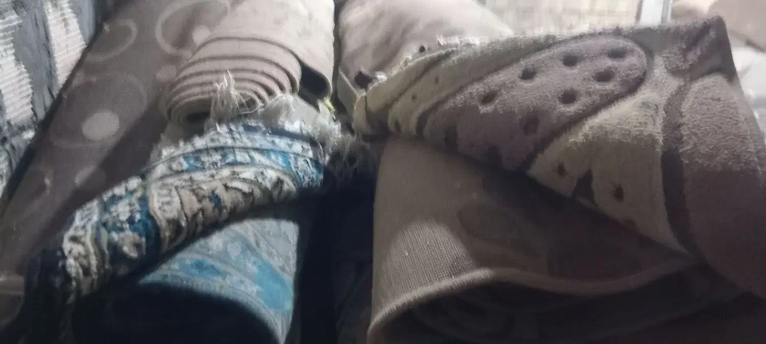 فرش ۱۲ متری سورمه ای|فرش|هرمز, |دیوار