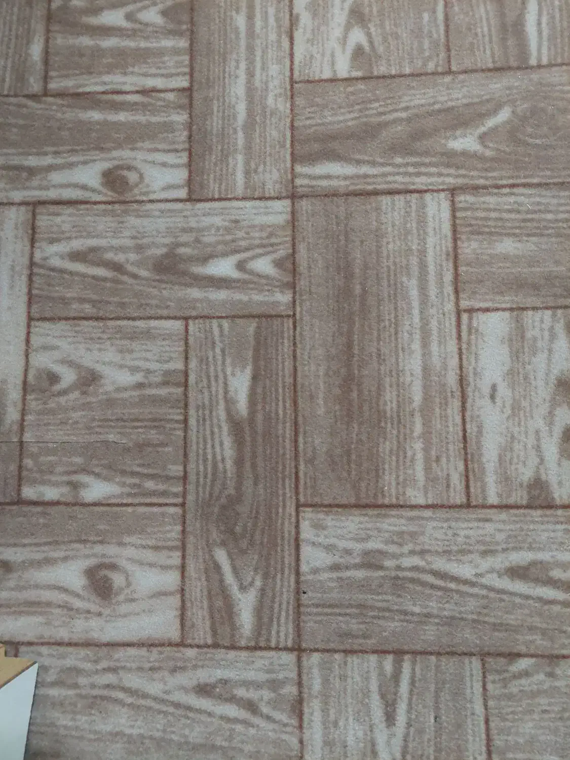 موکت طرح پارکت|موکت|بندر انزلی, لاله|دیوار