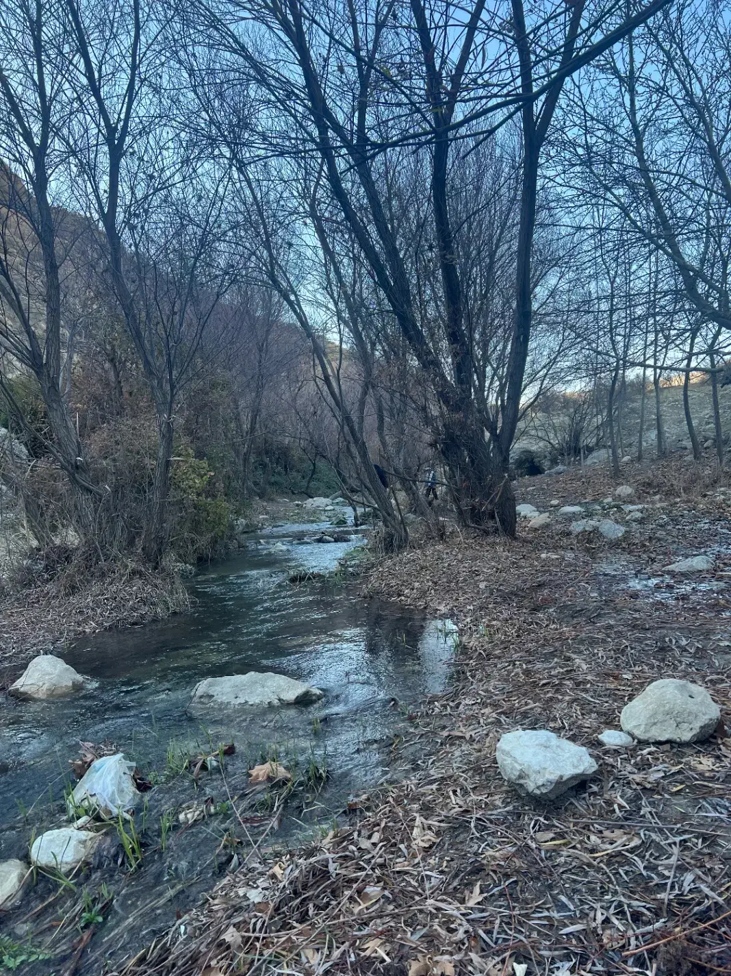 راهنمایی و شراکت|فعالیت داوطلبانه تحقیقاتی|فیروزآباد (فارس), |دیوار