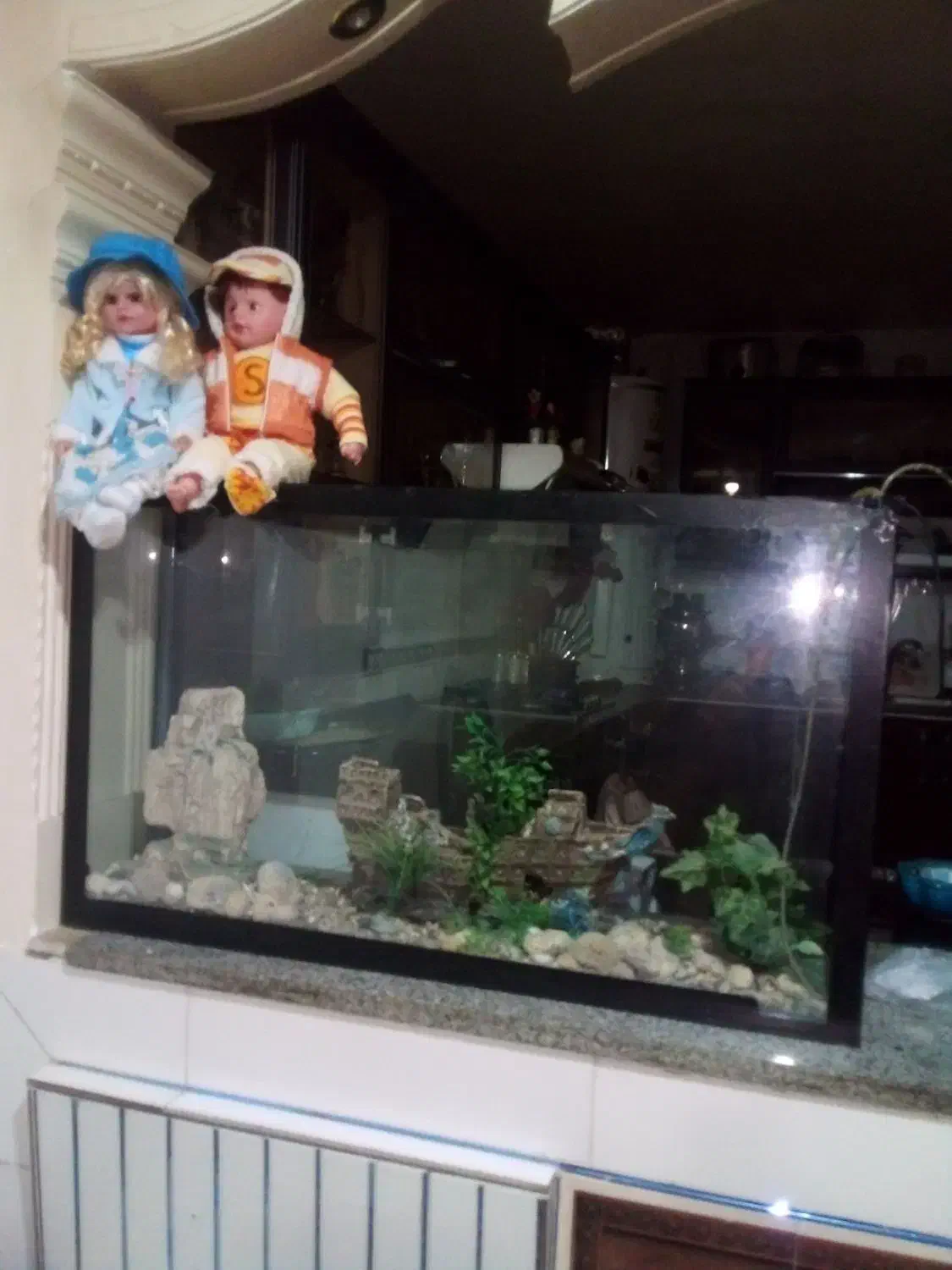 آکواریوم در حد نو|ماهیگیری|لردگان, |دیوار