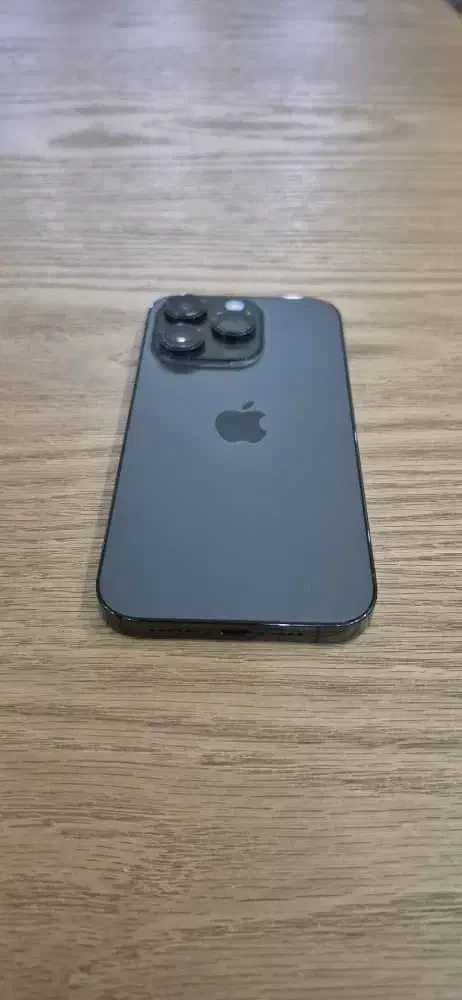 ایفون ۱۴پرو|موبایل|شیراز, فرهنگ شهر|دیوار