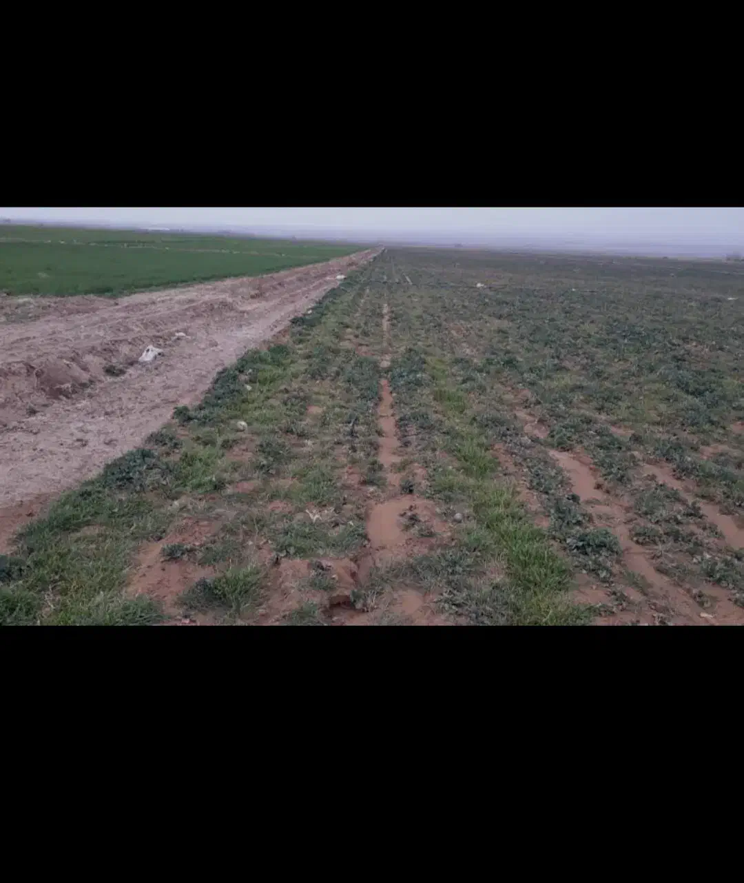 فروش زمین باغی|فروش زمین و ملک کلنگی|رشت, شهرک شهید مفتح|دیوار