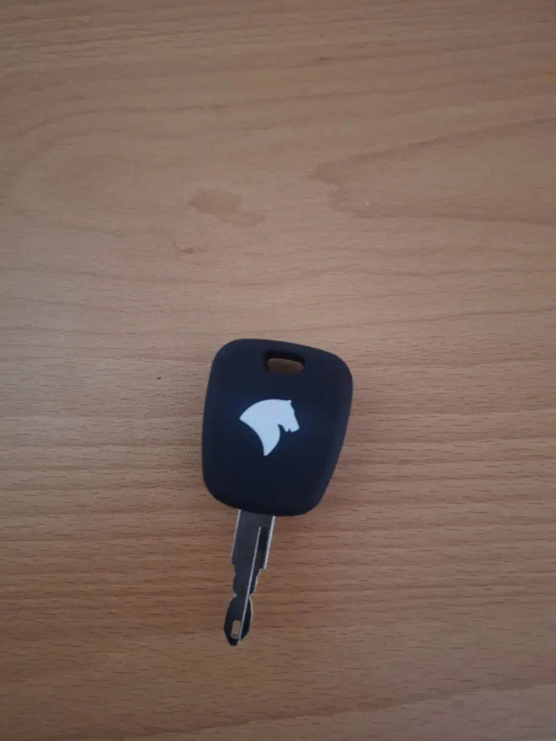 کلید دنا|اشیا|اصفهان, ارغوانیه|دیوار