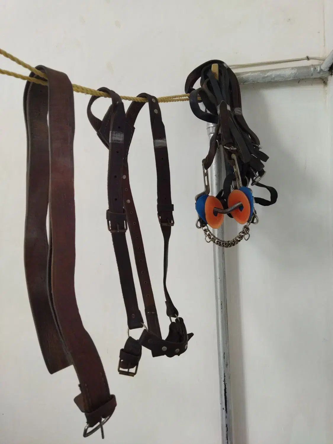 زین اسب بختیاری|اسب و تجهیزات اسب‌سواری|سبزوار, قصبه شرقی|دیوار