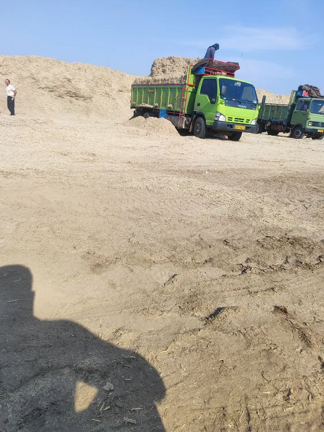 کاه نیشکر|لوازم جانبی حیوانات|بوئین زهرا, |دیوار