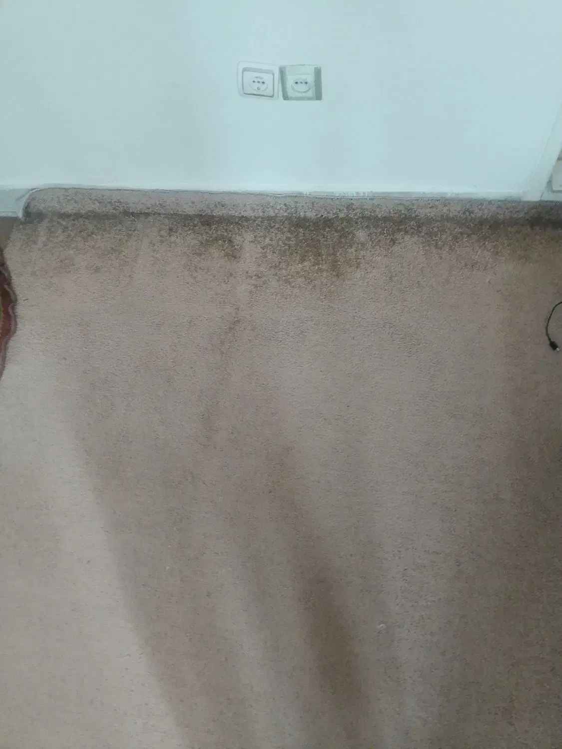 موکت چهار متری زمینه نسکافه ای|موکت|تهران, دژکام|دیوار