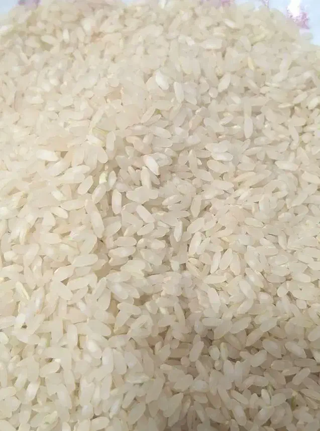 برنج کامفیروزی|خوردنی و آشامیدنی|شیراز, تاچارا|دیوار