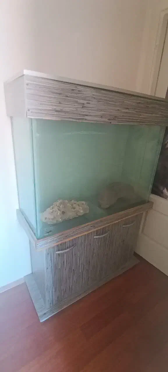 اکواریوم|ماهی|پرند, فاز ۵|دیوار