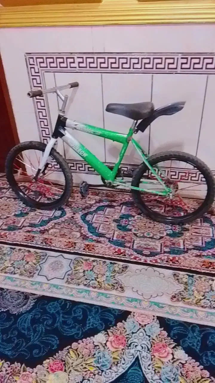 دوچرخه 20|دوچرخه، اسکیت، اسکوتر|پسکوه, |دیوار