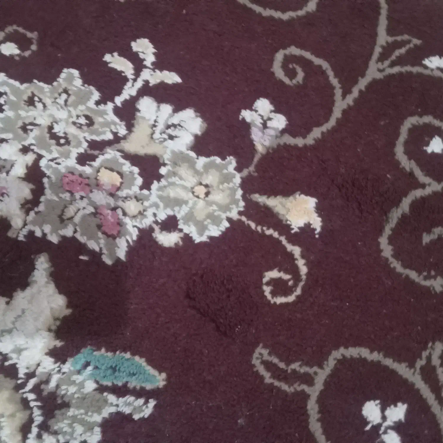 قالی|فرش|تربت جام, باغ سنگان سفلی|دیوار