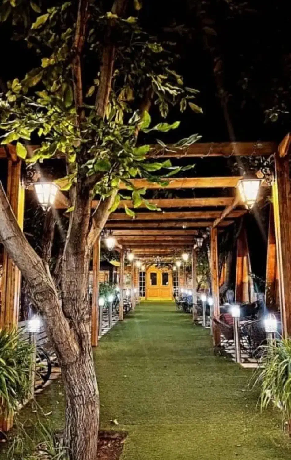 ساخت کلبه سوئیسی، کانادایی، چوبی|خدمات پیشه و مهارت|چمستان, |دیوار