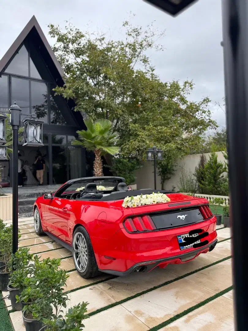 موزیک و فیلمبردار|خدمات پذیرایی، مراسم|رشت, استادسرا|دیوار