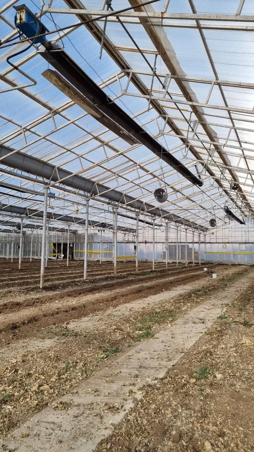 هیتر و کوره تابشی گرماسان کار کرده با قیمت مناسب|بخاری، هیتر، شومینه|اهر, |دیوار