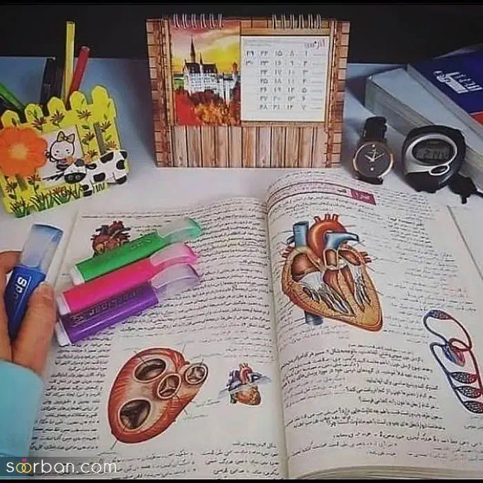 مشاور تحصیلی وتدریس ریاضی|خدمات آموزشی|تبریز, |دیوار