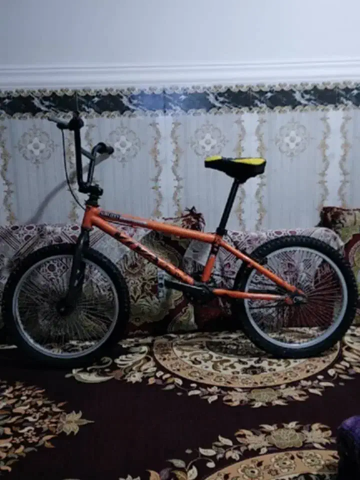 دو عدد دوچرخه 20و12|دوچرخه، اسکیت، اسکوتر|بندر ماهشهر, |دیوار