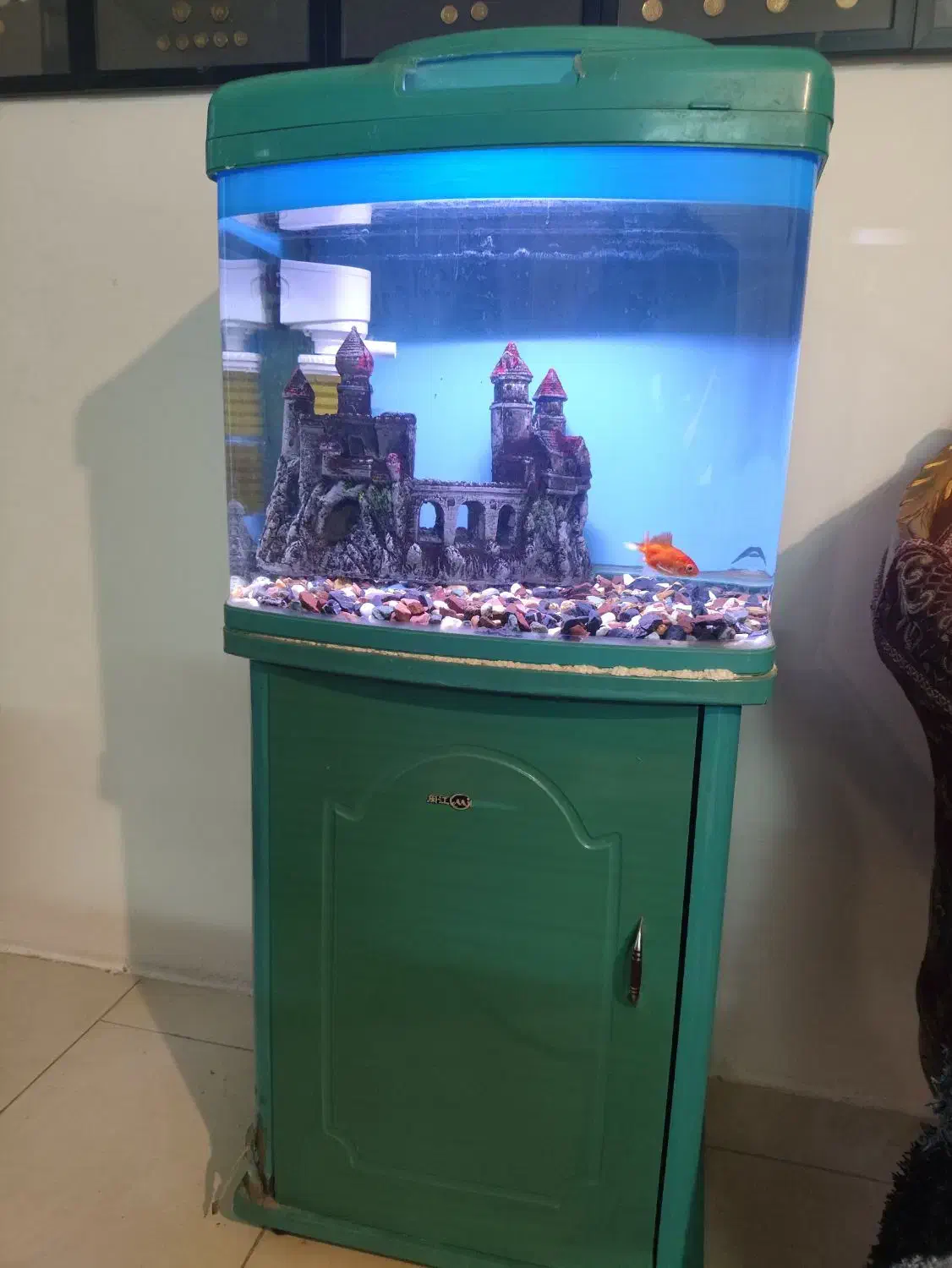 آکواریوم کمدی|ماهی|مشهد, شهرک مهرگان|دیوار