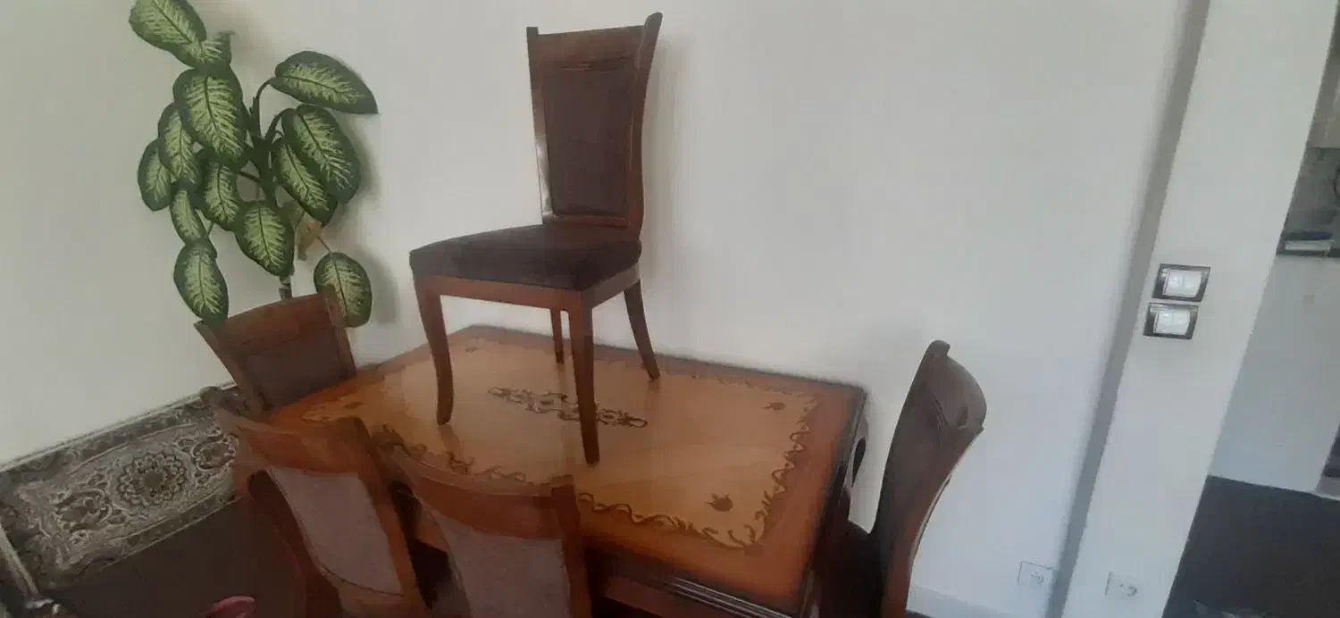 میز غذاخوری ۶ نفره با جنس چوب راش|میز و صندلی غذاخوری|سقز, |دیوار