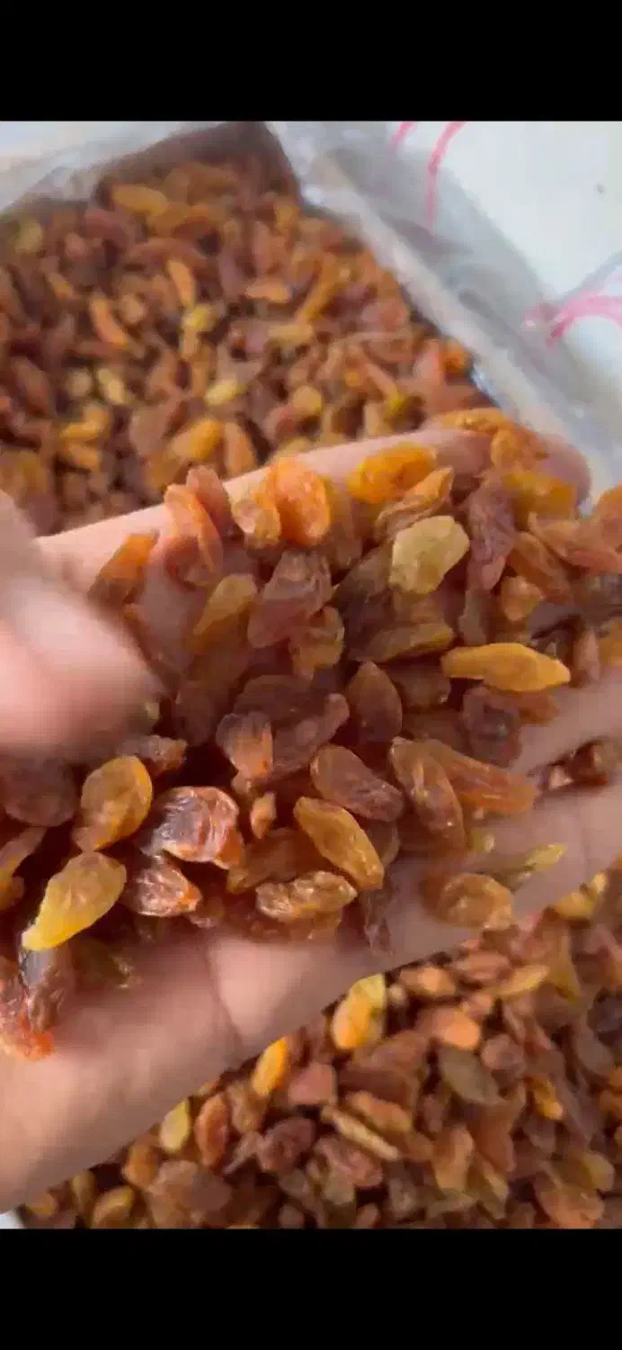 فروش انواع محصولات کشاورزی|خوردنی و آشامیدنی|اهواز, کیانپارس |دیوار