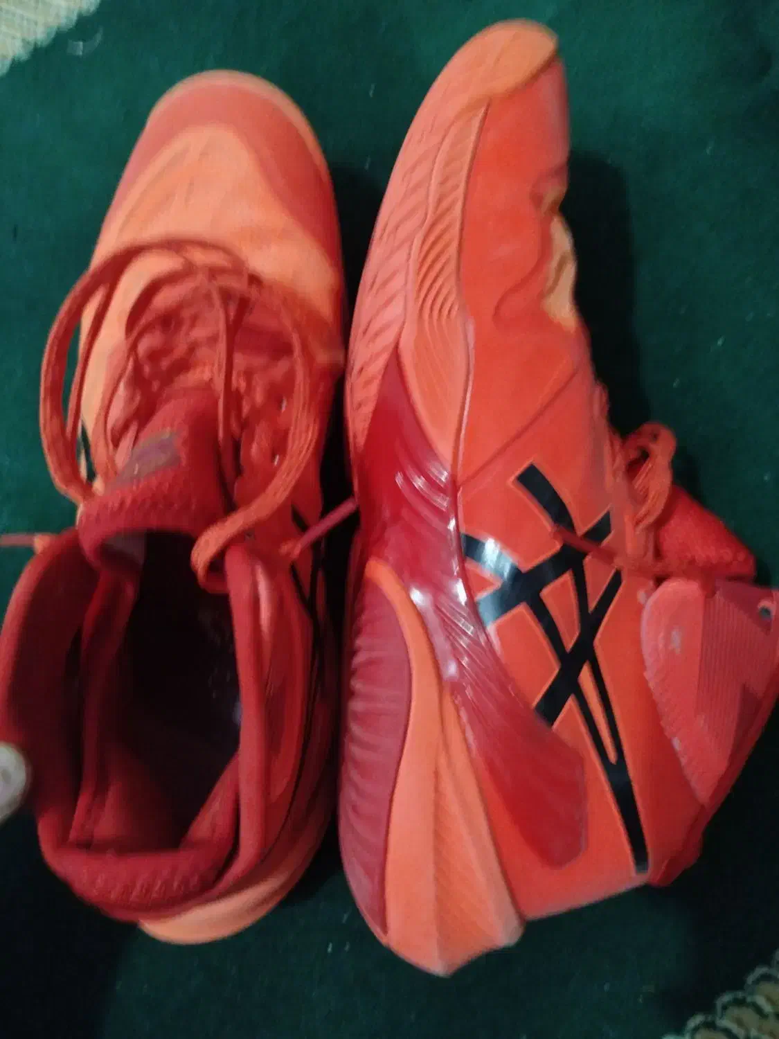 کفش یک بار هم پوشیدن نشده|کیف، کفش، کمربند|رامیان, |دیوار