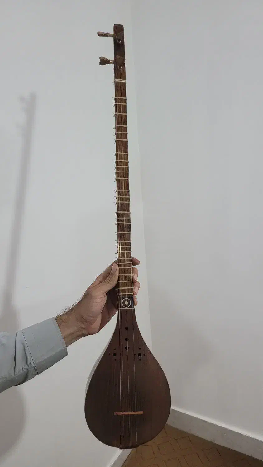 سه‌تار حرفه‌ای مهر برقی جانی|سازهای سنتی|سردشت, |دیوار