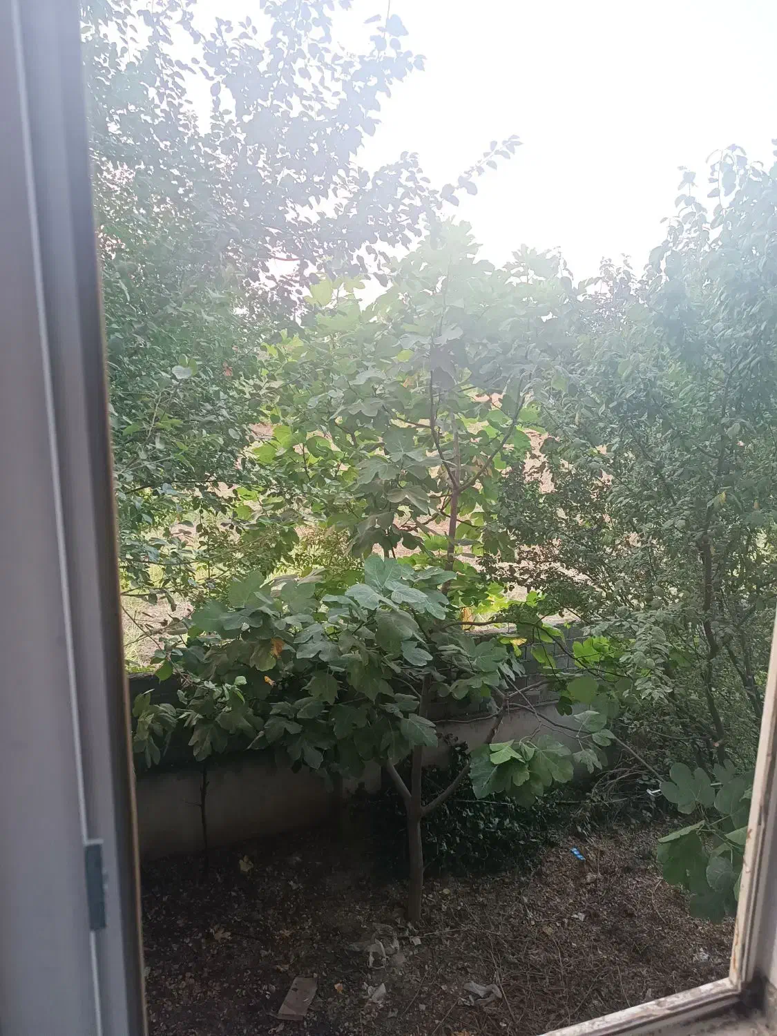 آپارتمان مهر نکا چسبیده به جنگل|فروش آپارتمان|ساری, |دیوار