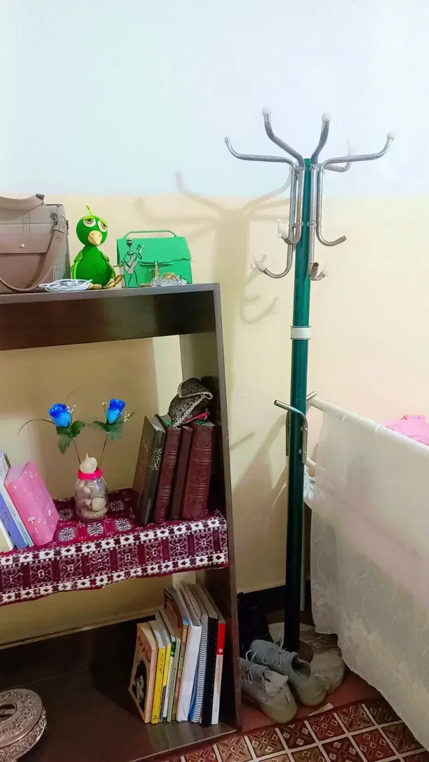 چوب لباسی.|بندرخت و رخت‌آویز|شوشتر, |دیوار