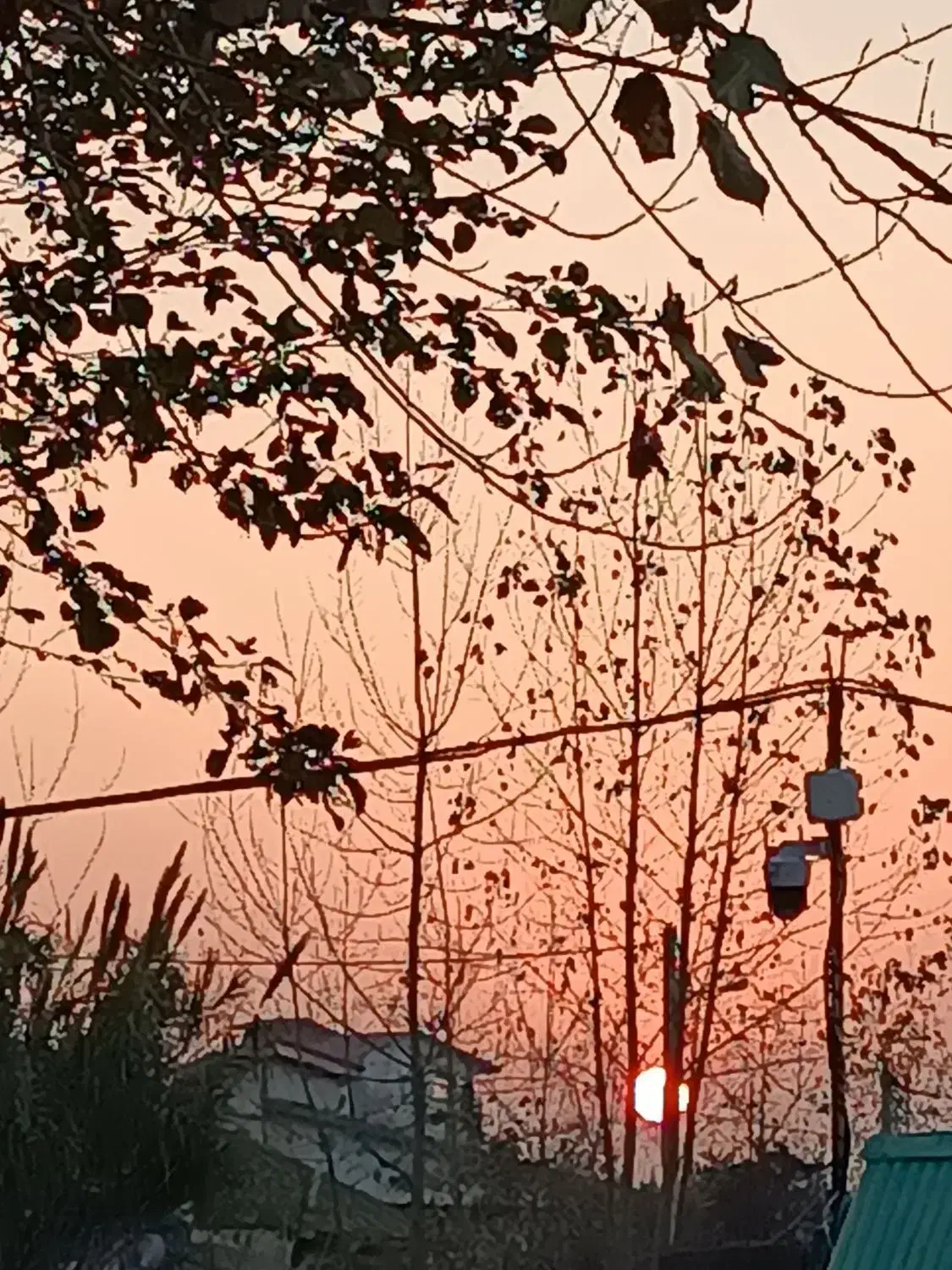 اجاره کوتاه مدت|اجارهٔ کوتاهمدت آپارتمان و سوئیت|کیاشهر, |دیوار