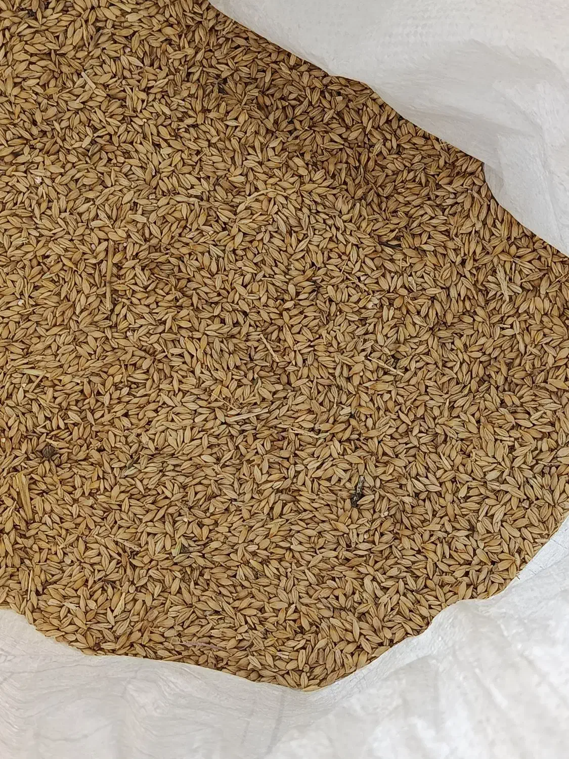 جو خارجی|عمده‌فروشی|پاسارگاد, |دیوار