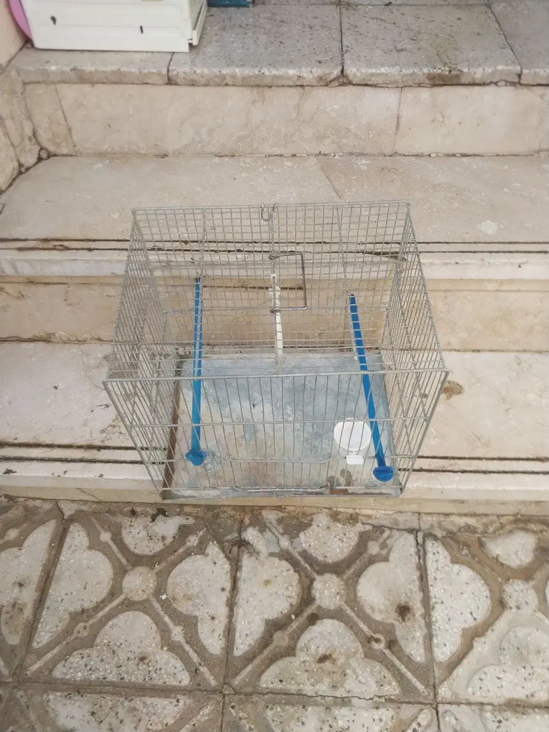 قفس پرنده|لوازم جانبی حیوانات|شیراز, سعدیه شمالی|دیوار