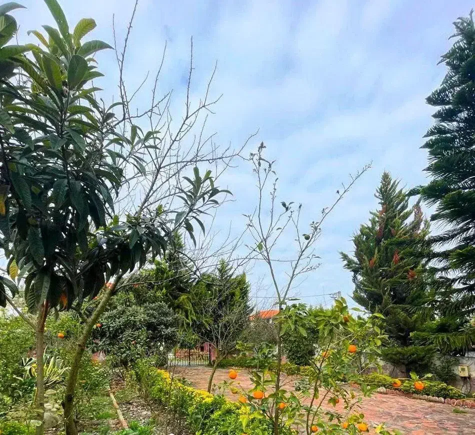 باغ ویلای ۸۰۰متری//شهرک قدیمی سنددار|فروش خانه و ویلا|رویان, |دیوار