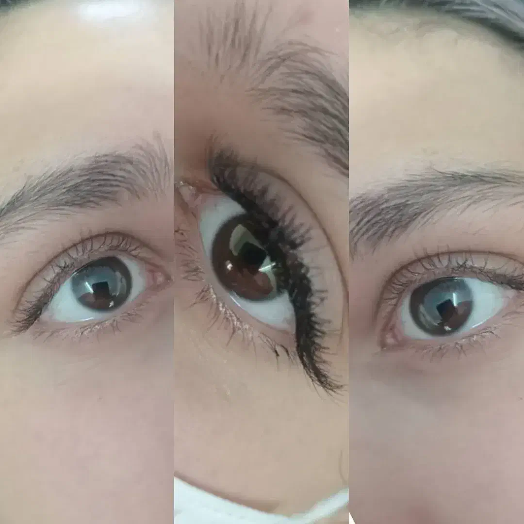 انواع کاشت مژه و لیفت ابرو|خدمات آرایشگری و زیبایی|سنندج, |دیوار