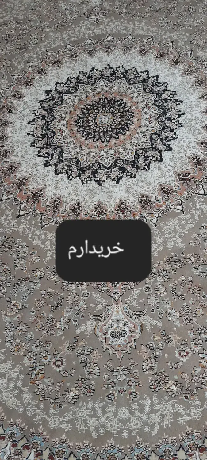 فرش ۶متری|فرش|قم, شهرک مهدیه (مدرس)|دیوار