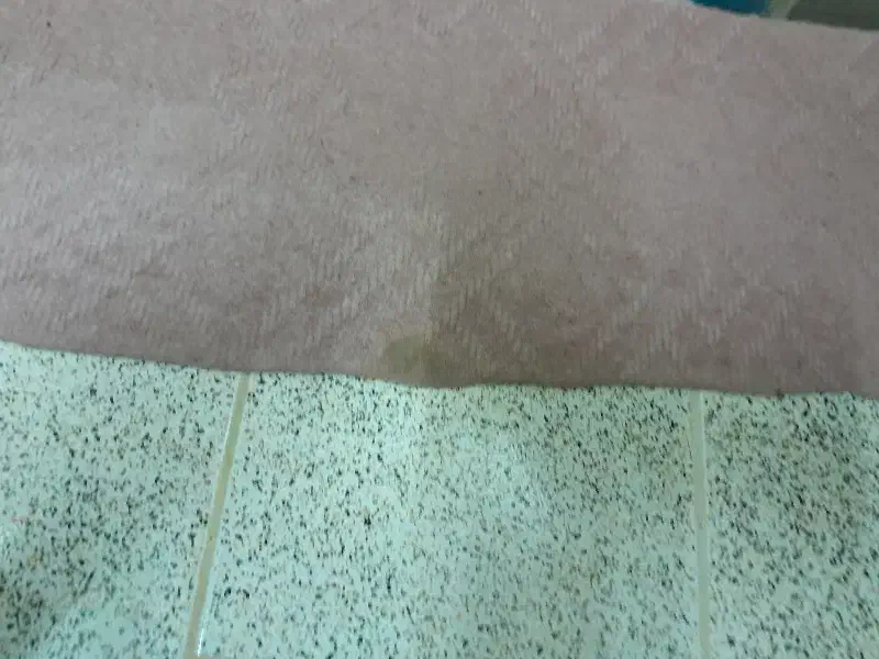 موکت|موکت|شهرکرد, |دیوار