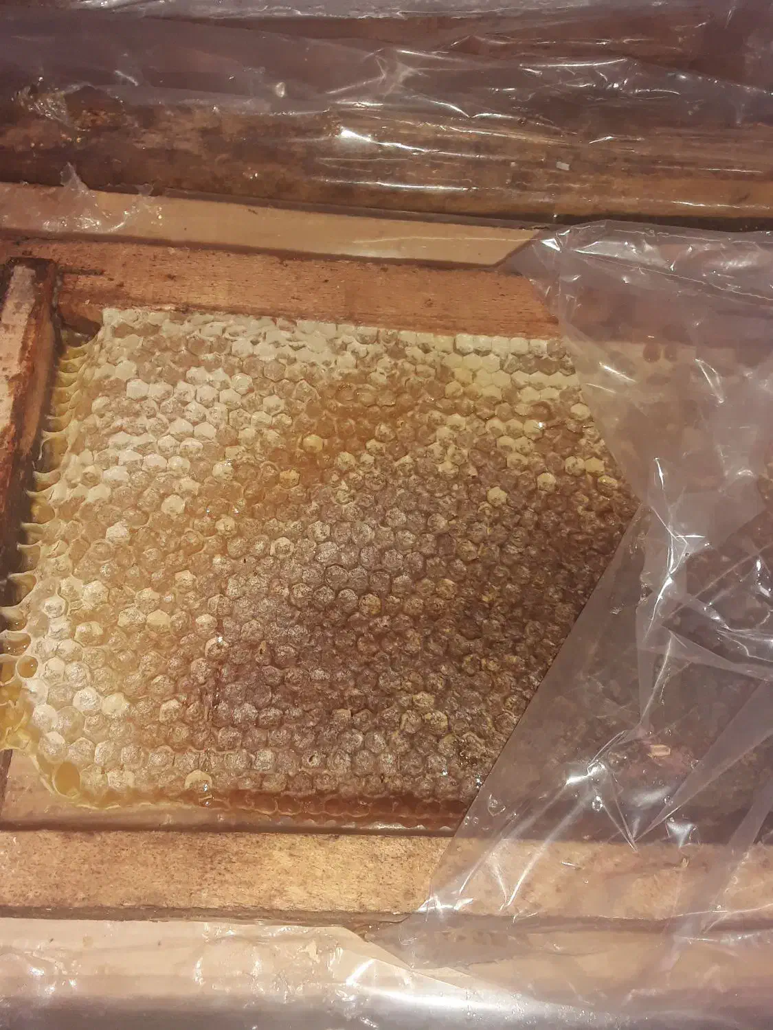 آویشن و عسل اصل|خوردنی و آشامیدنی|جرقویه, |دیوار