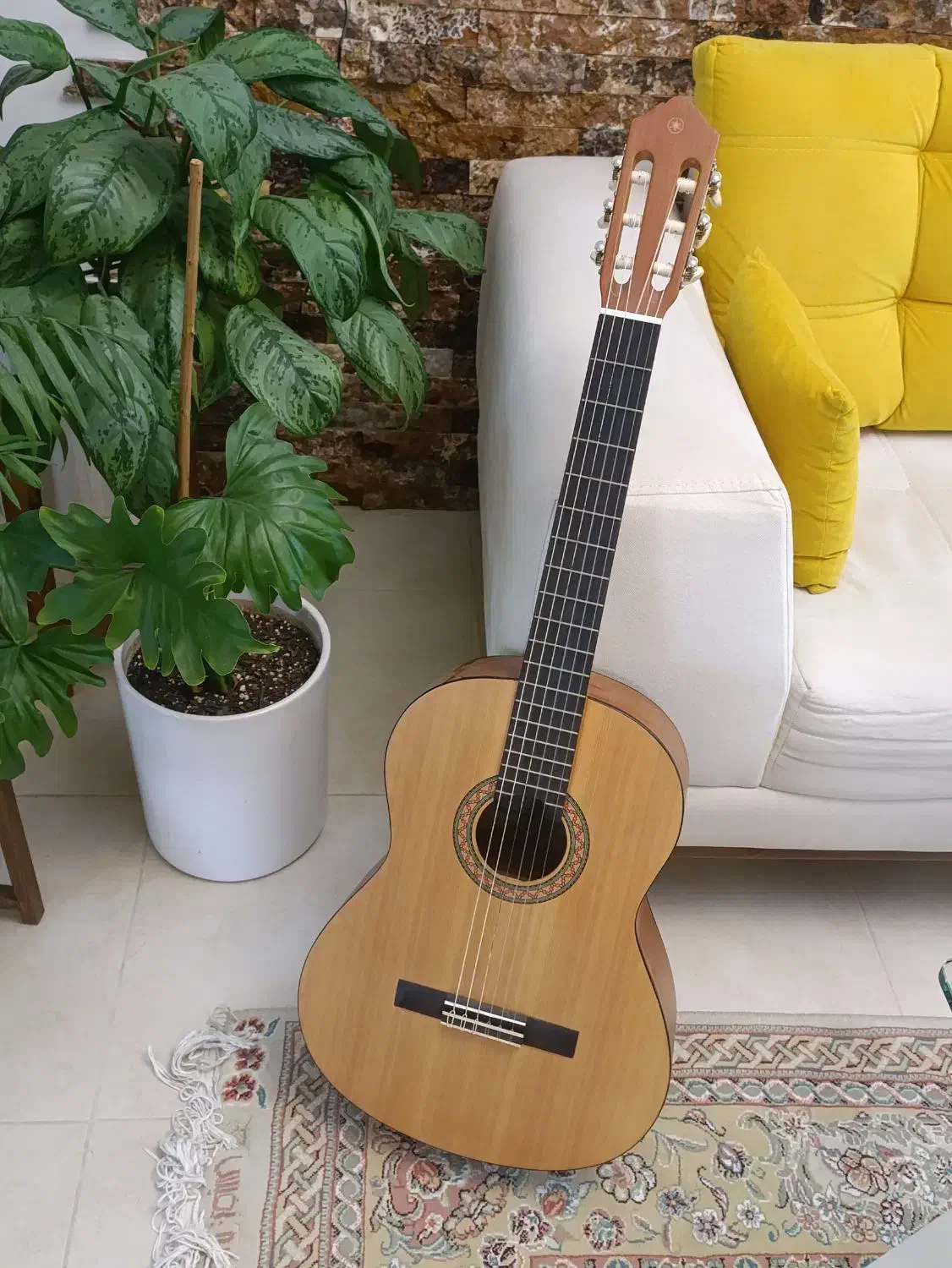 گیتار یاماها c40|گیتار، بیس، امپلیفایر|ساری, |دیوار